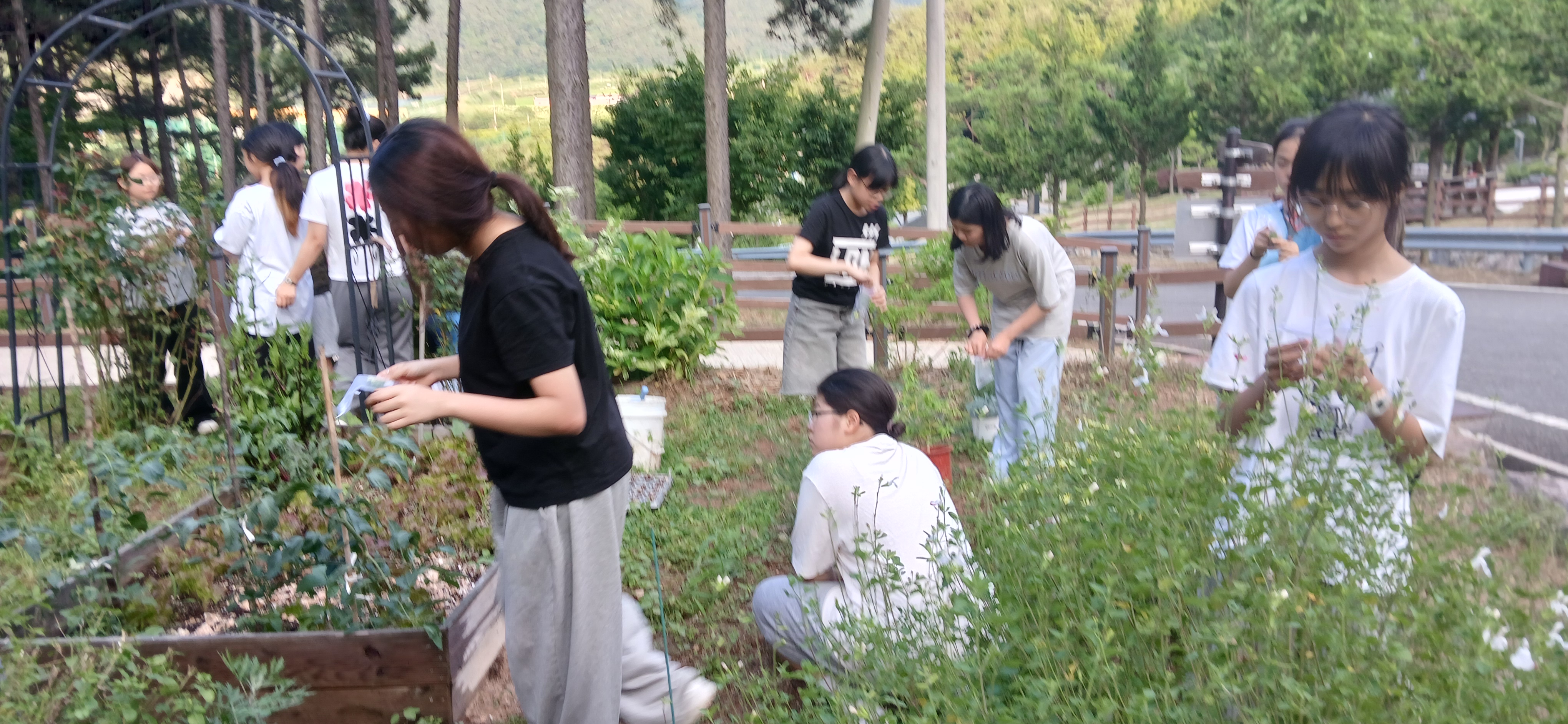 KakaoTalk_20260618_181054515.jpg